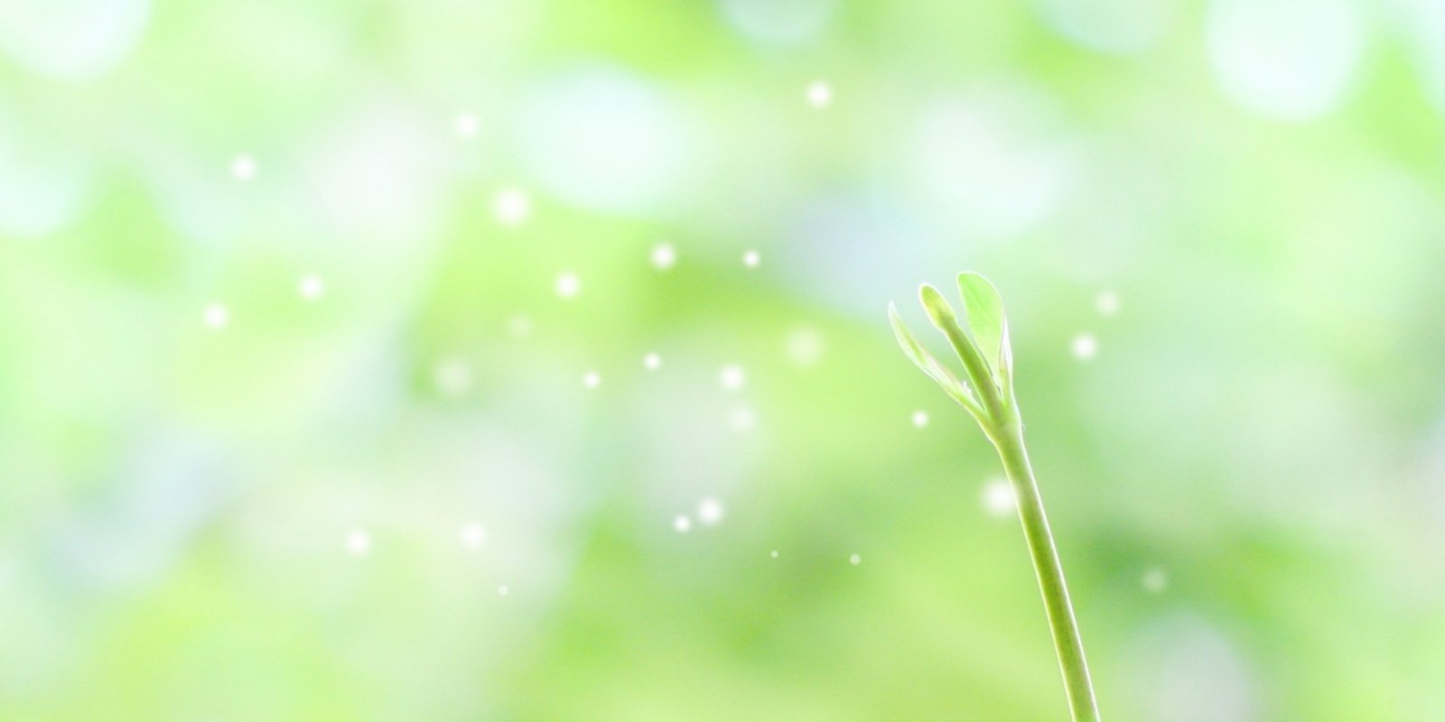 ページタイトル